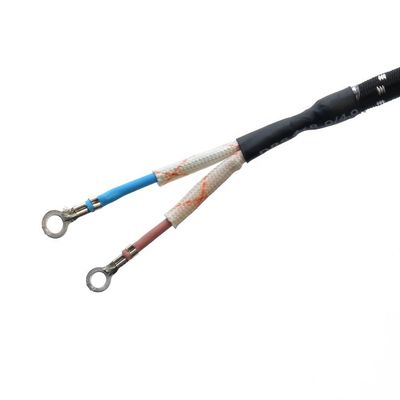 Commercial Power Cord Extension Cord VDE/SNI/KC 2 Round Pin Plug for Electric Iron in Dubai Middle-Eastern Market